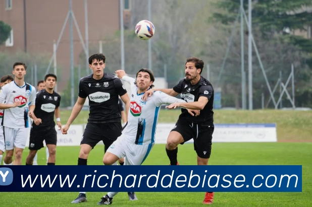 九游官网入口平台生态图